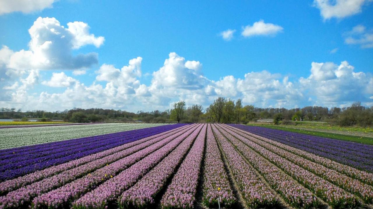B&B Het Ruime Sop Wassenaar Eksteriør bilde